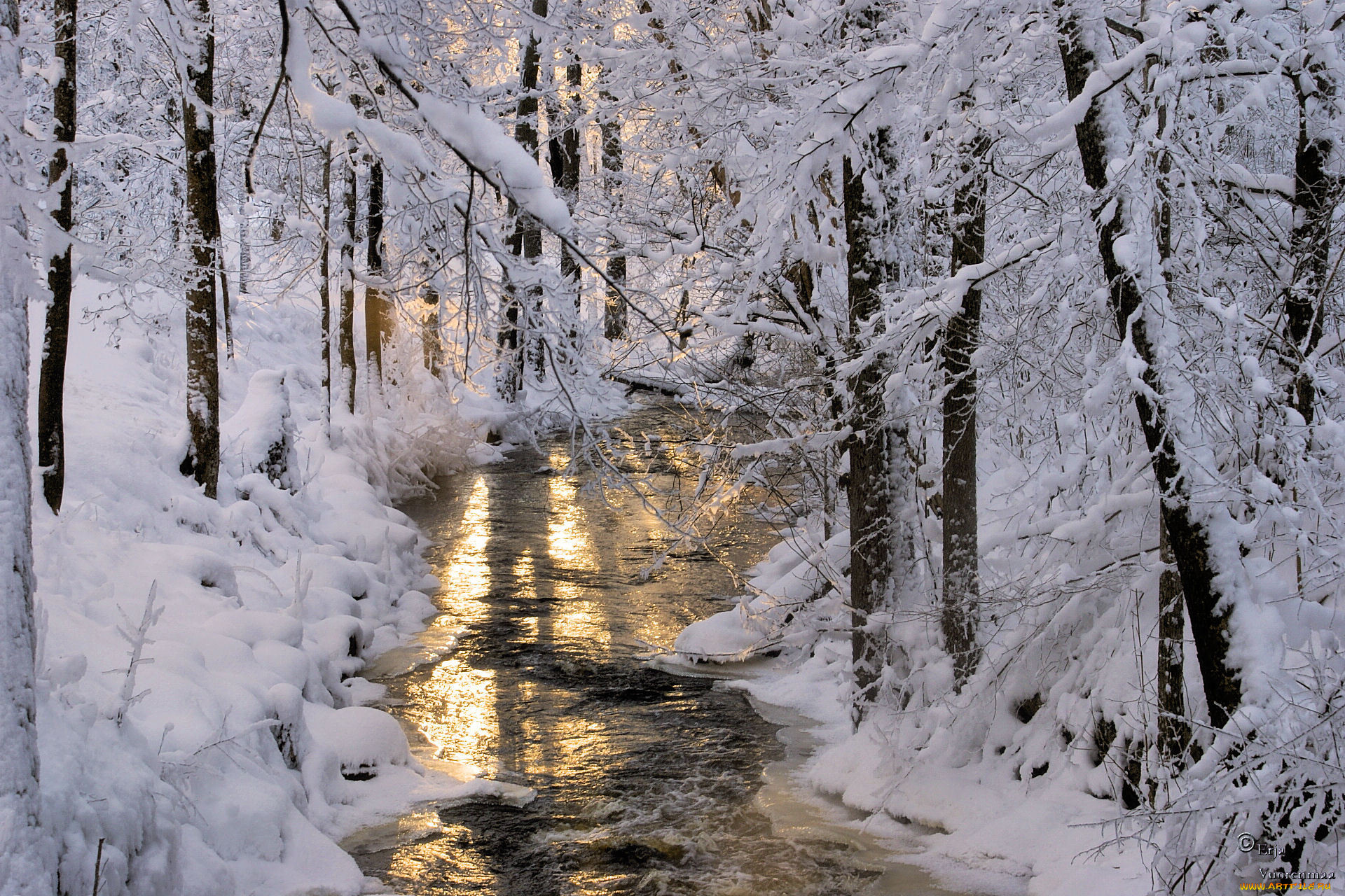Ручей в лесу зимой